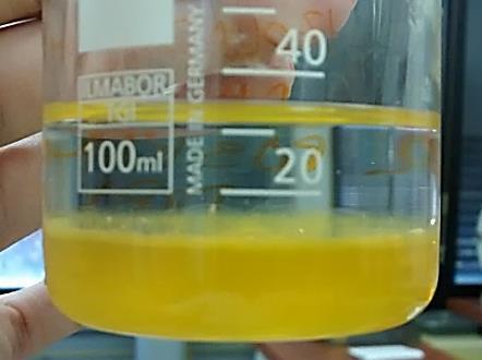 Ekstraktu dodamo 80 µl proteaze in pretresemo. 8. 20 ml hladnega etanola previdno zlijemo po steni nagnjene epruvete na ekstrakt. 9.