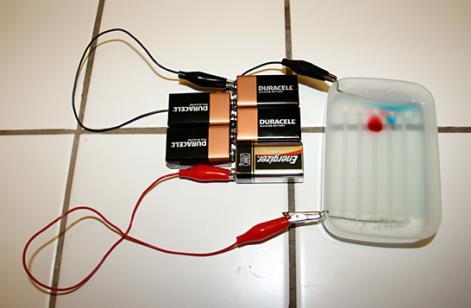 Slika 18: Enostavna aparatura elektroforeze (Forensic Science: Building Your Own Tool for Identifying DNA, b.d.) Tabela 6: Priprava gela in pufra Prvi korak eksperimenta je priprava elektroforetskega gela in pufra.