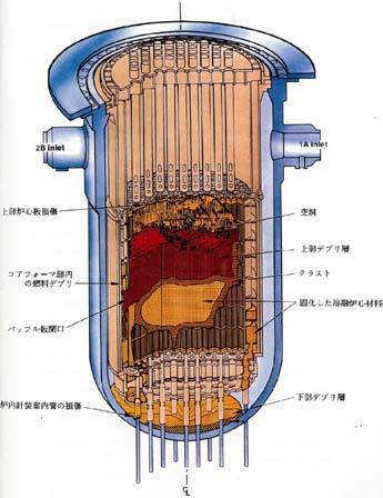 3.1 Estimation of Damaged Reactor Core in Fukushima Daiichi NPS Damaged reactor core