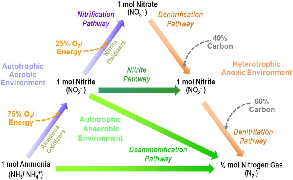 Idea 4: Do complete nitrification and denitrification in the WWTP Nitrogen compounds are problematic in advanced treatment processes Ammonia is likely to cause biological growth so early and