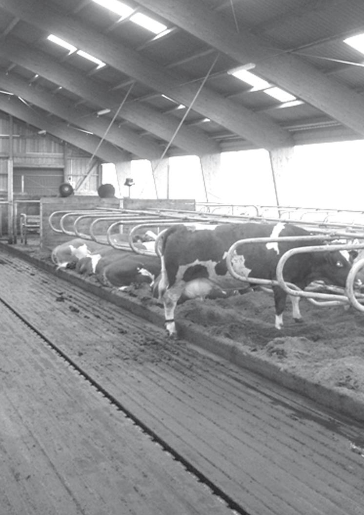 BAUER-AGROMILK GROUP Stable solutions Milking parlours Computerised herd management systems Milking parlours accessories Bucket milking machines Stabling systems Feeding systems Ventilation and