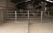 The water collected can then be used to rinse the floors and walls of the milking house or for cleaning gangways.