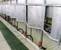 a leer mechanism milking house can be fitted with arious degrees of automation of the milking process, including milk measuring and identification