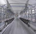cylinders or manually, using leer mechanisms IDEAL herringbone milking parlours stalls milking parlours stalls with spans of 910, 1000 or 1200 mm
