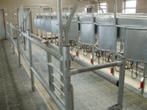 Milking parlours PRES herringbone milking parlours stalls pneumatically controlled chest barrier makes it easier to line up dairy cows with different body sizes and gies