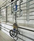 barriers controlled by air pressure This system is especially suitable for farms with a higher concentration of milk cows, where the group exit system greatly increases the