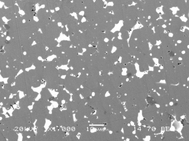 Chapter 6 Development of Microstructure Sintered NdFeB Figure 6.1 shows the microstructure of the sintered starting material, which has been previously discussed in chapter 5.