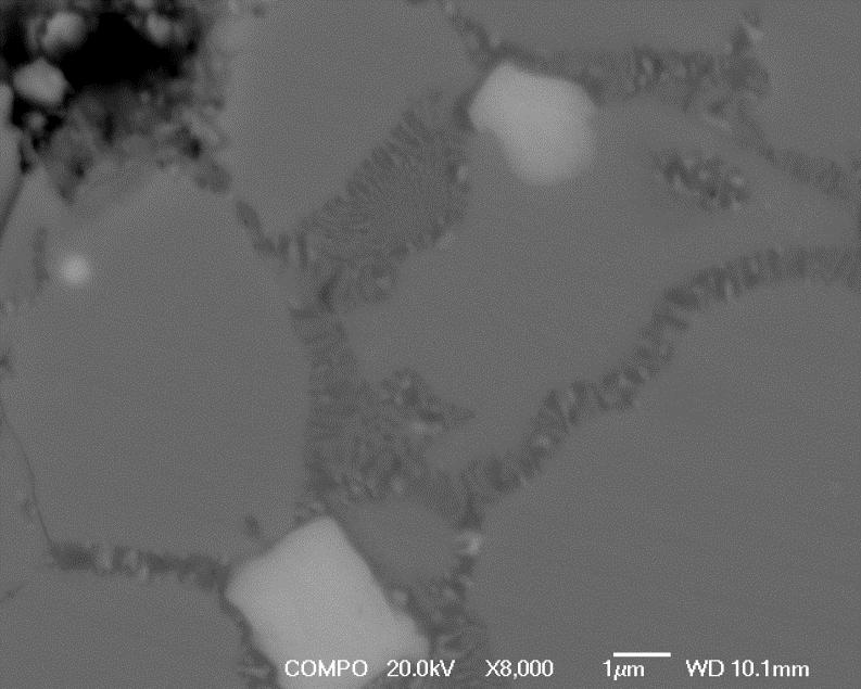 Chapter 6 Development of Microstructure To get a better image of the areas where disproportionation has initiated along grain boundaries and at triple points a Jeol 7000 HR-SEM was used. Figure 6.