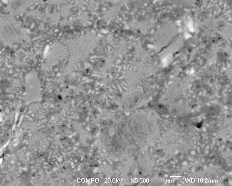 Chapter 6 Development of Microstructure Figure 6.16 shows the fully disproportionated structure as observed using the Jeol 7000 HR-SEM.