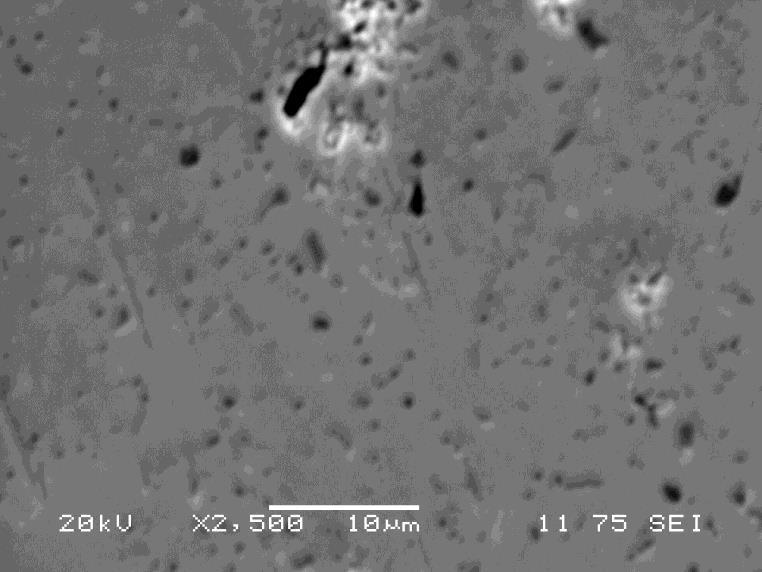 imaging mode. In the bottom left of the images, it is clear to see that there are two large, faceted grains as previously shown by McGuiness et al.