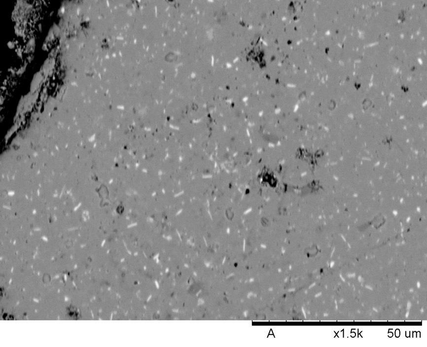 Chapter 9 Reproducibility & Large Batches Nd-rich pull out Disproportionated mixture Figure 9.9. SEM micrograph of powder from surface sample 1 exhibiting very little disproportionated mixture.