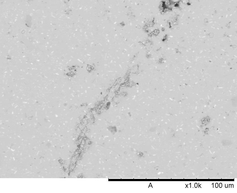 Chapter 9 Reproducibility & Large Batches Figure 9.11. SEM micrograph of one large particle within surface sample 1 that exhibited a large line of disproportionated mixture (circled in red).