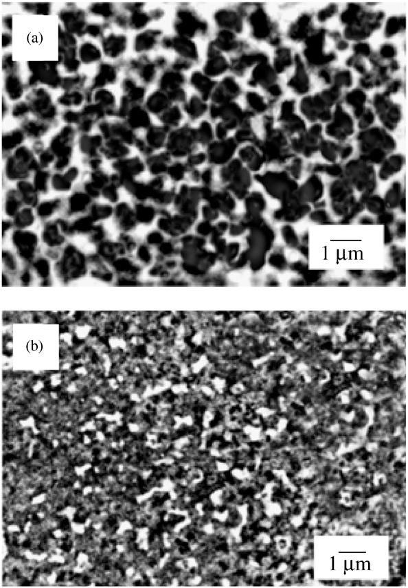 Chapter 3 Literature Review Chen et al. (2003) analysed the unique microstructure of HDDR processed NdFeB and determined that the grains with a diameter around 0.