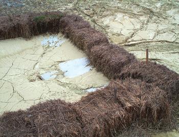 Concrete apron and drop inlet grate are nearly covered in sediment. Use straw for mulch only.