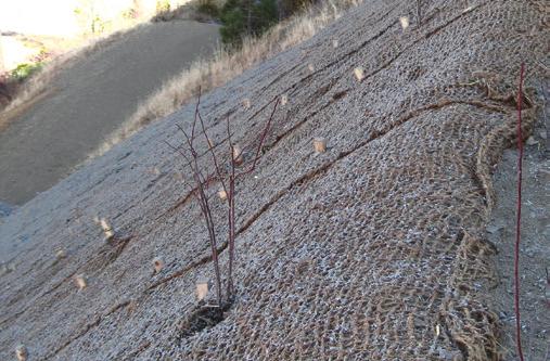 Soil and bark mulch can be used in or over gabions and