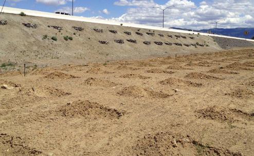 mulch, fi ber rolls and other erosion and sediment control BMPs as necessary