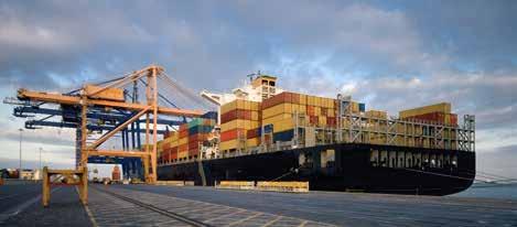 The extensive global reach makes Avvashya CCI an expert in handling complex international cargo movement, from beginning till the end.