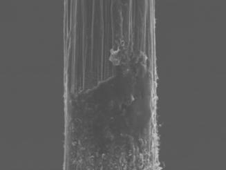282 Computational Methods and Experimental Measurements XVI Figure 5: Surface of CNT grafted fiber after pull- out test.