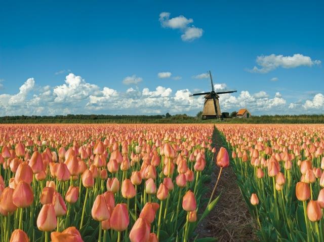 HOLLAND, YOUR