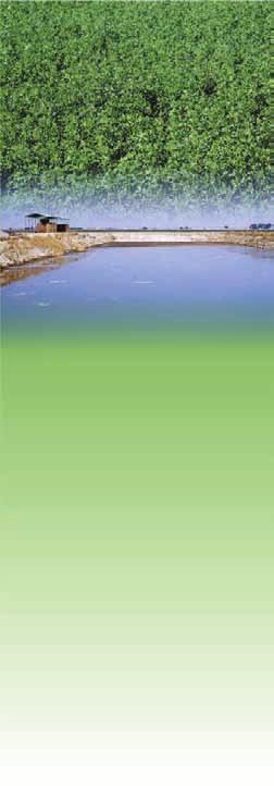 Irrigated Alfalfa Management for Mediterranean and Desert Zones Chapter 20 Corresponding Author: Roland D. Meyer (rdmeyer@ucdavis.