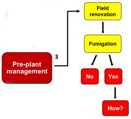 DECISION MAKING PROCESS 7 3. PRE-PLANT MANAGEMENT Yes or no with regards to pre-plant management.