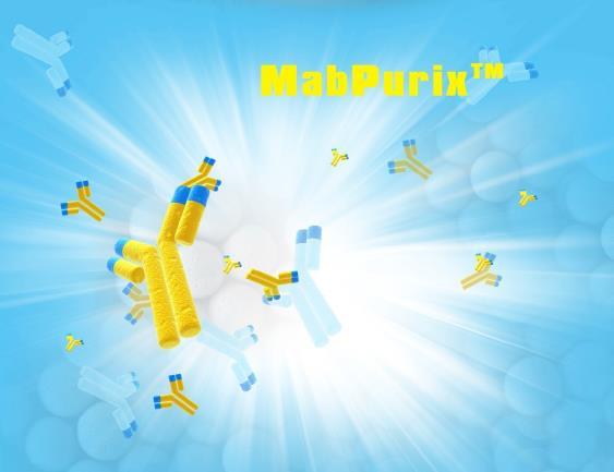 MAbPurix TM Protein A Affinity Chromatography Resin media and column Excellent Choice for Monoclonal