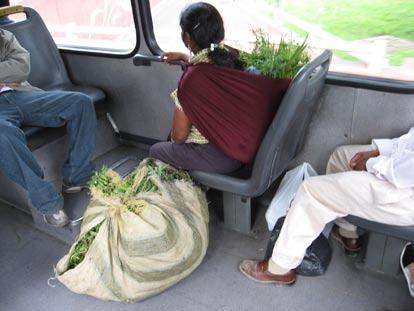 In many cultures, the ability to board with personal and commercial goods is fundamental to making public transport relevant to low-income users (Figure 10.38).