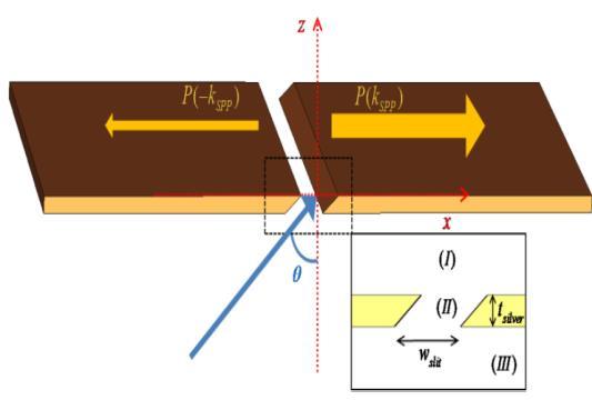 NSOM plasmonic tips can be considered as one the most interesting applications of plasmonic microsystems in which nano-scale plasmonic slits and grooves have been used to focus optical energy at the
