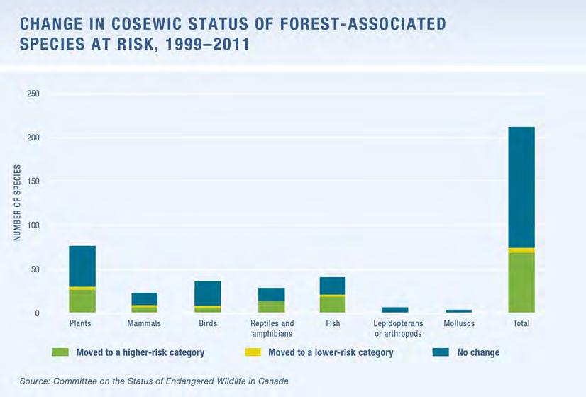 ECOSYSTEM CONDITION AND PRODUCTIVITY Canada s forest ecosystems must be resilient so that they can cope with and recover from natural and human disturbances and maintain their ecological functions