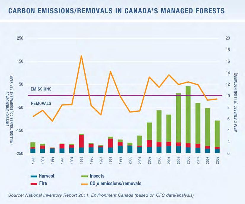WHAT HAS CHANGED? Canada s managed forests acted as net carbon sinks in 12 of the 20 years from 1990 to 2009.