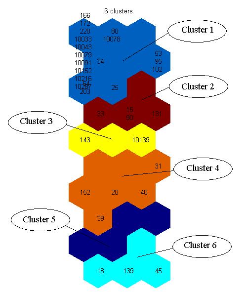 Figure 11: Clusters of content providers based the number of WAP transactions made during the hours of the day.