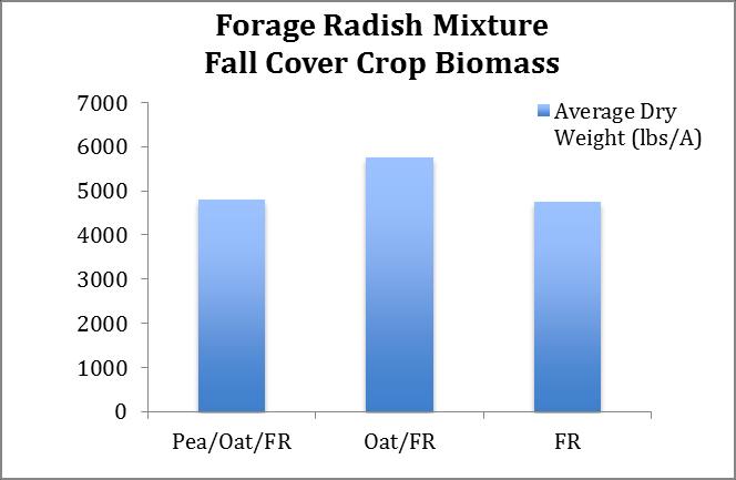 P a ge 10 Results: Cover crop biomass was measured in mid-november 2014. Forage radish (FR) and Pea/Oat/FR had similar biomass yields around 4800 lbs/acre of dry weight.