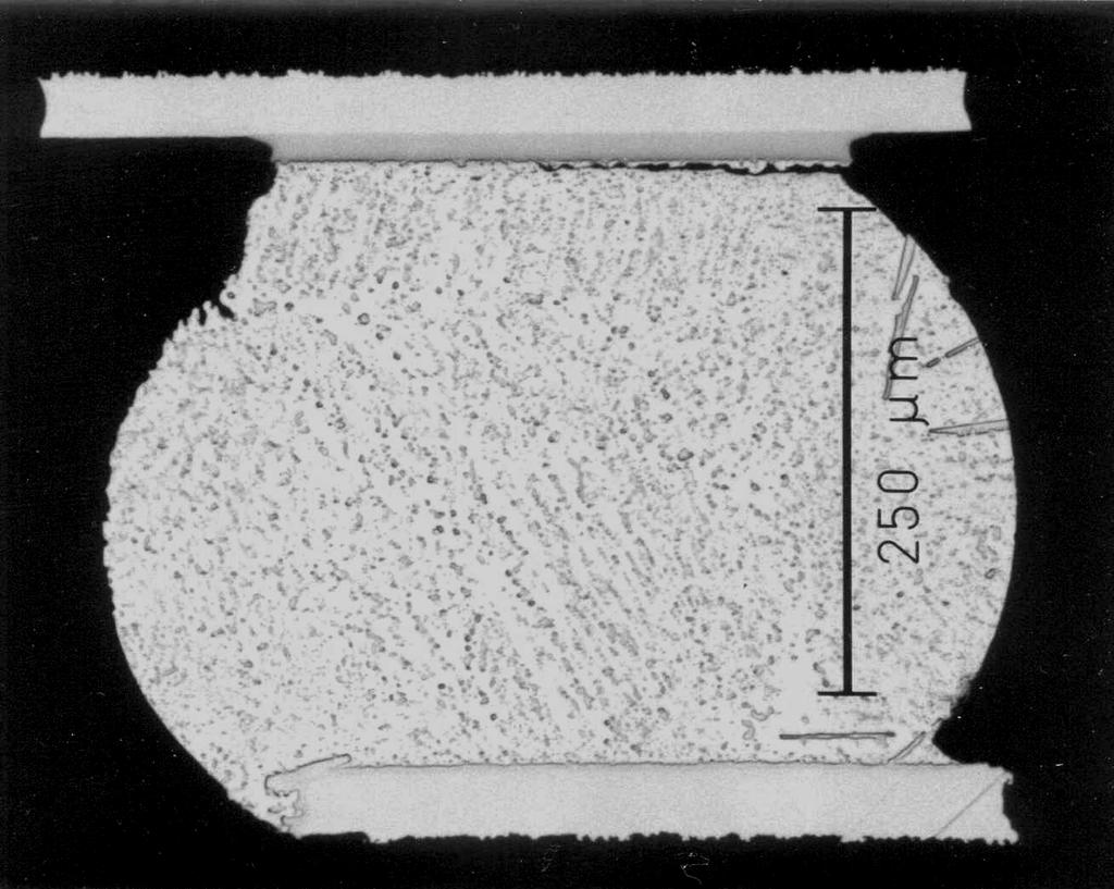 Example of Solder Joint Microstructure: 169CSP, LF-LF, -40 C to +125 C Sn-3.