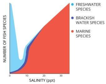 Organisms have specific salinity
