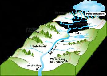 Watershed: an area or ridge of land that separates waters flowing to different rivers, basins, or seas.