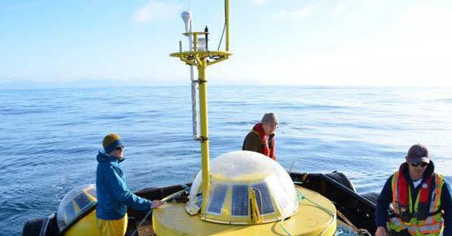 Wave Energy West Coast West Coast Wave Initiative(British Columbia) Industry/University of Victoria research
