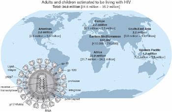 Figure 11.1: World Health Organization (WHO) data on the global HIV pandemic as of the end of 2010, with a drawing showing the structure of the HIV virus. Data from: WHO.
