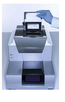 Gel based genotyping The gel based assays are normally run on the Qiagen QIAxcel.