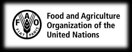 FOOD AND AGRICULTURE ORGANIZAITON OF THE UNITED NATIONS