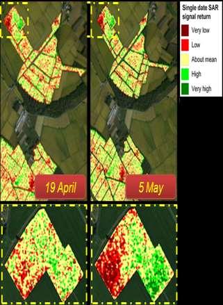 SERVICE APPLICATION AT LOCAL SCALE LOCAL RICE SERVICE PRODUCTS GENERATION AND DEPLOYMENT Seasonal pattern maps (EP_L3; EI_L7) WP5 Based on the analysis of satellite Images