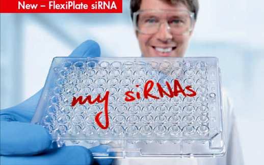 FlexiblePlate high throughput - Customizable and economical screening solution FlexiPlate sirna Custom sirna sets for customerspecified genes and sirna controls 96 or 384-well format for HT screening