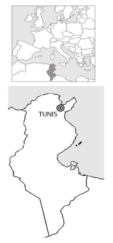 252 Influence of Urban Morphology on Outdoor Thermal Comfort in Summer: A Study in Tunis, Tunisia physiological and psychological aspects.
