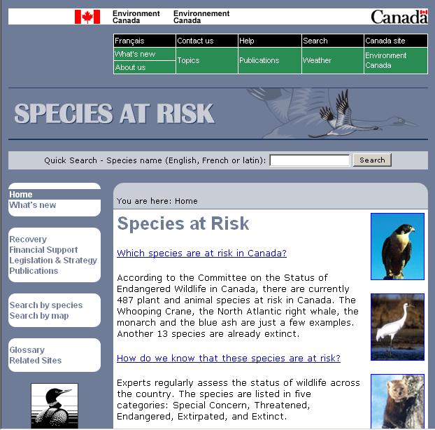 www.speciesatrisk.gc.ca Species at Risk Information Sources Buffalo Grass, Ladyka,C. Accessed through SKCDC, 2001. Which species are at risk? Which species are undergoing consultations? www.