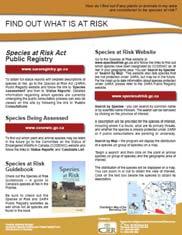 At Risk Fact Sheet Guidebook to