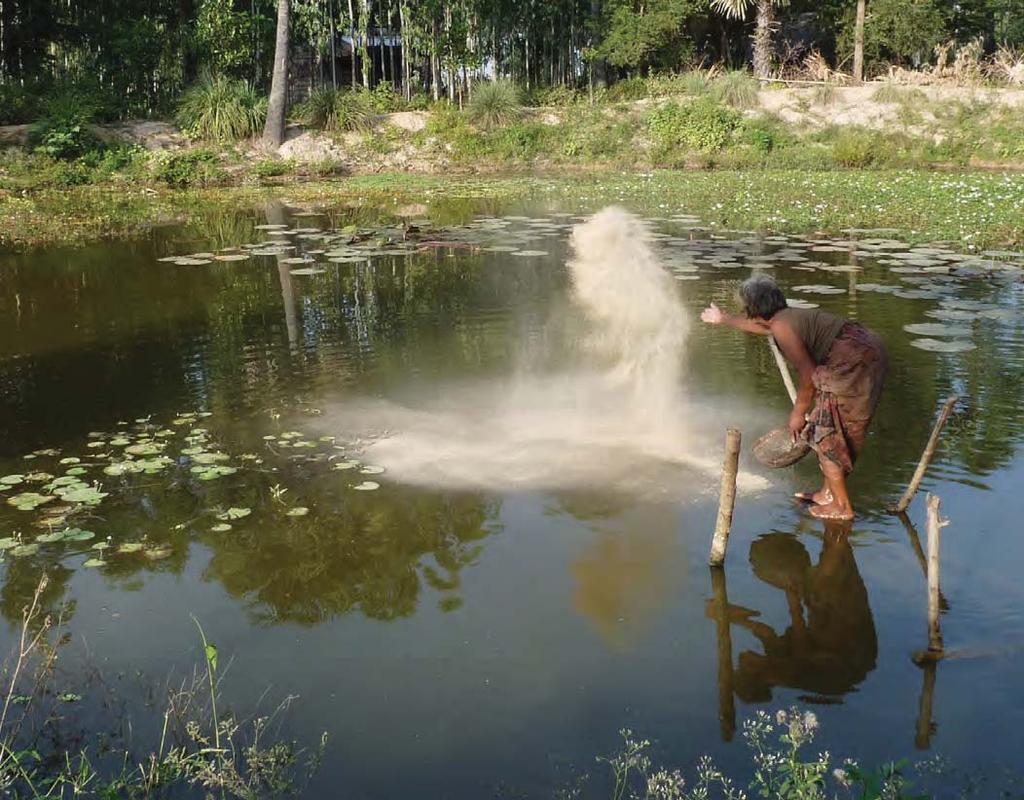Aquaculture for the Poor in Cambodia - Lessons