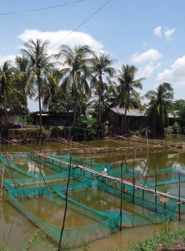 Access to resources such as land and water can limit poor farmers ability to adopt aquaculture. The involvement of very poor farmers is often hindered by a lack of land.
