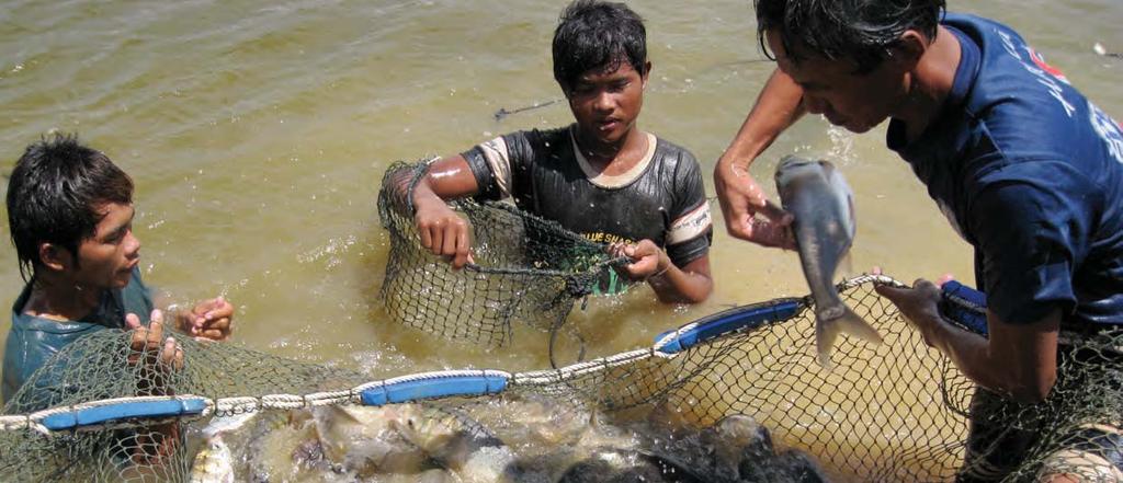 RICE AND FISH: THE STAPLE DIET IN RURAL CAMBODIA Heavy Dependency on Wild Fishery Resources Scope of this Review USAID Cambodia MSME Project Aquaculture in Cambodia still relies heavily on inputs
