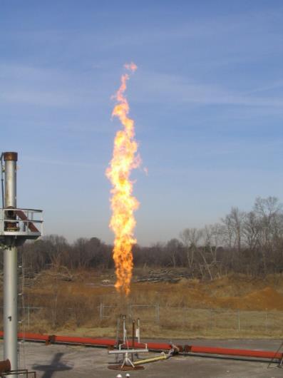 Single Flare Burner Simulations Single burner simulations for propane have been performed for the