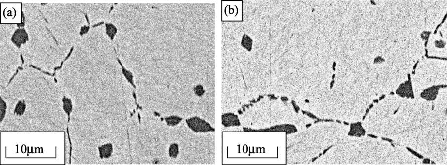 276 L. Ma / Micron 35 (2004) 273 279 Fig. 3. SEM micrograph of b precipitate. (a) Isothermally exposed; (b) as-produced. 3.2. TEM characterization 3.2.1.