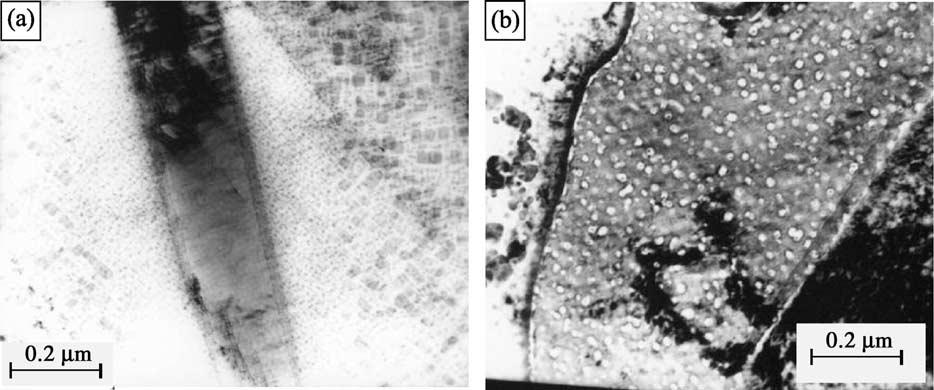 L. Ma / Micron 35 (2004) 273 279 277 Fig. 5. TEM photograph of b phase is as-produced and isothermally exposed sample prepared by jet electro-polishing.